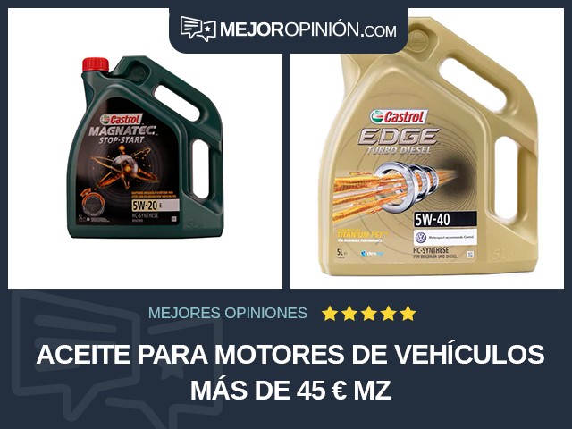 Aceite para motores de vehículos Más de 45 € MZ