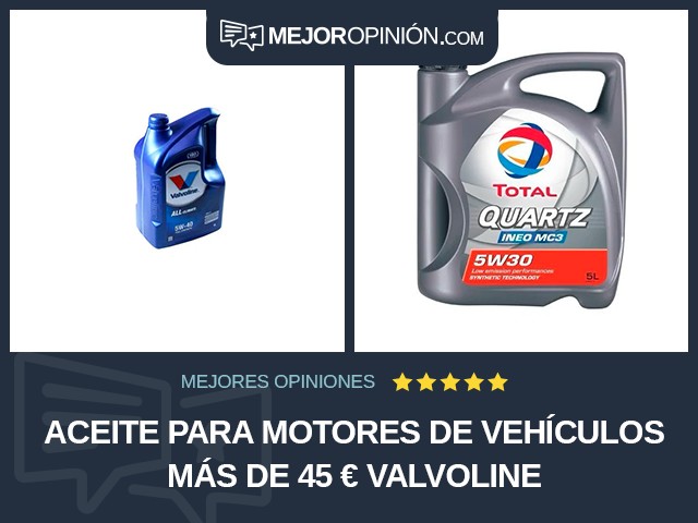 Aceite para motores de vehículos Más de 45 € Valvoline