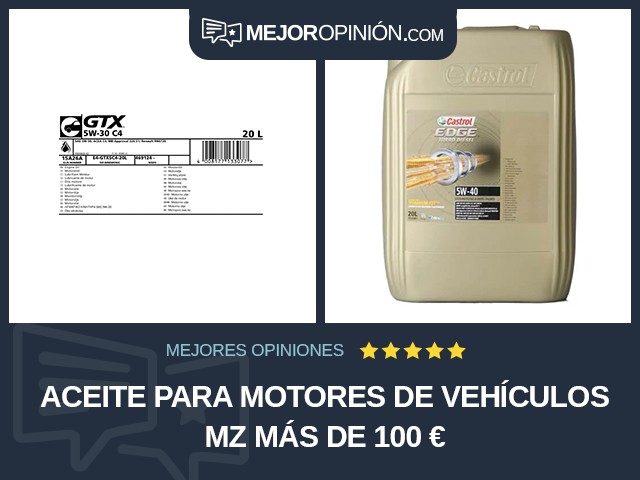 Aceite para motores de vehículos MZ Más de 100 €