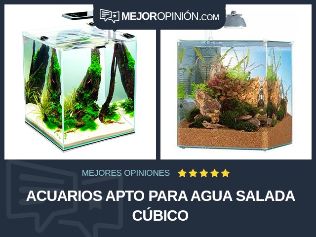 Acuarios Apto para agua salada Cúbico