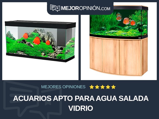 Acuarios Apto para agua salada Vidrio