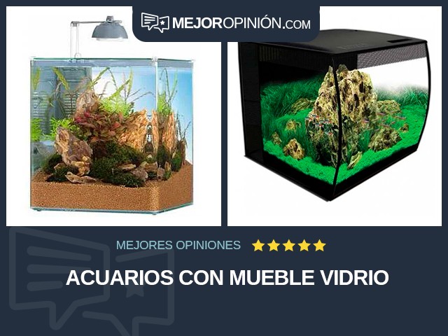 Acuarios Con mueble Vidrio