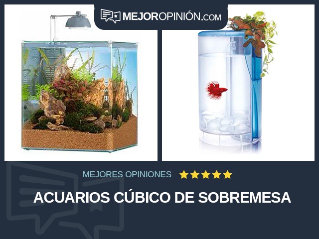 Acuarios Cúbico De sobremesa