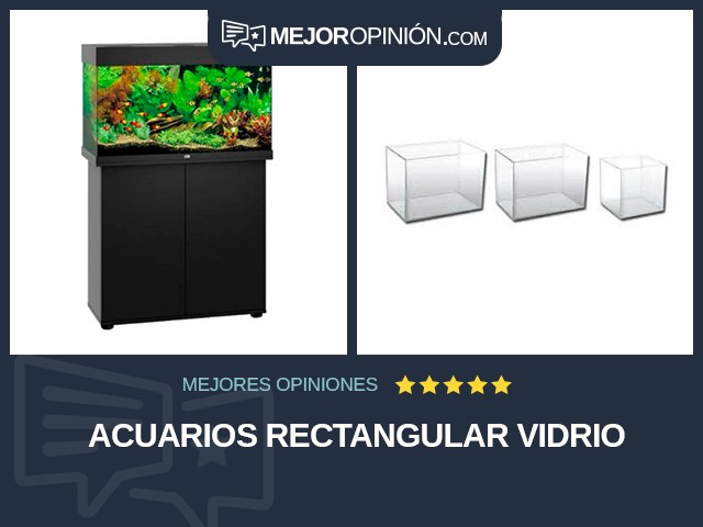 Acuarios Rectangular Vidrio