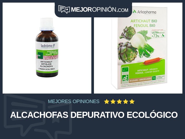 Alcachofas Depurativo Ecológico