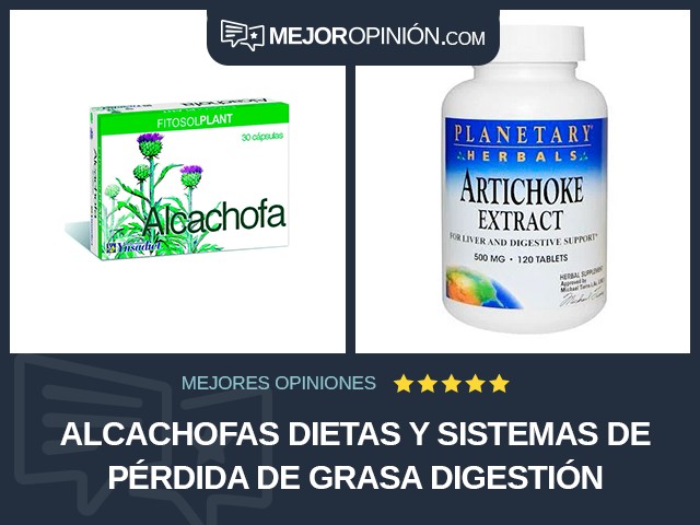 Alcachofas Dietas y sistemas de pérdida de grasa Digestión