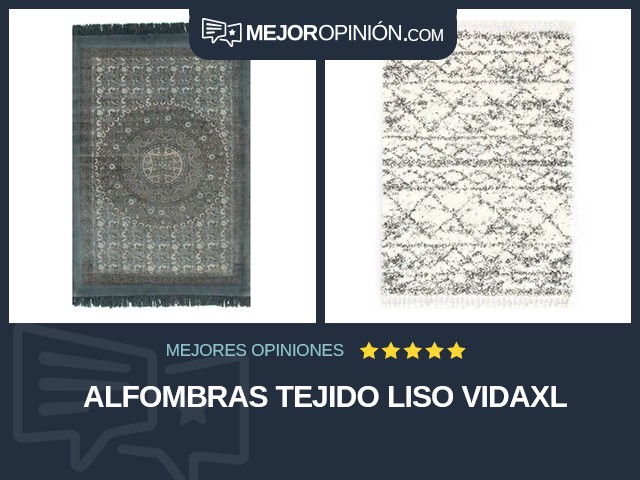 Alfombras Tejido liso vidaXL