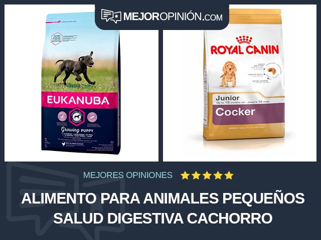 Alimento para animales pequeños Salud digestiva Cachorro