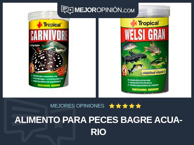 Alimento para peces Bagre Acuario