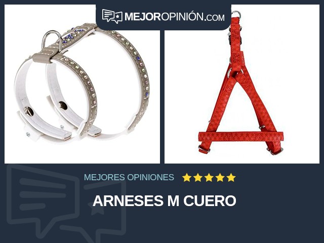 Arneses M Cuero