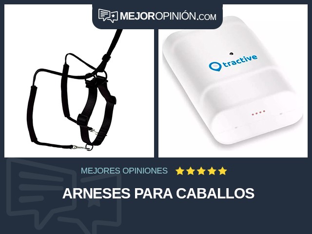 Arneses para caballos