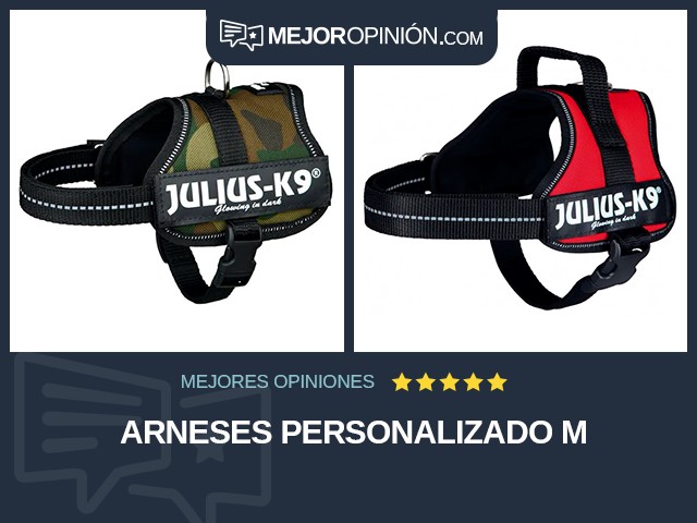 Arneses Personalizado M