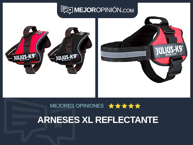 Arneses XL Reflectante