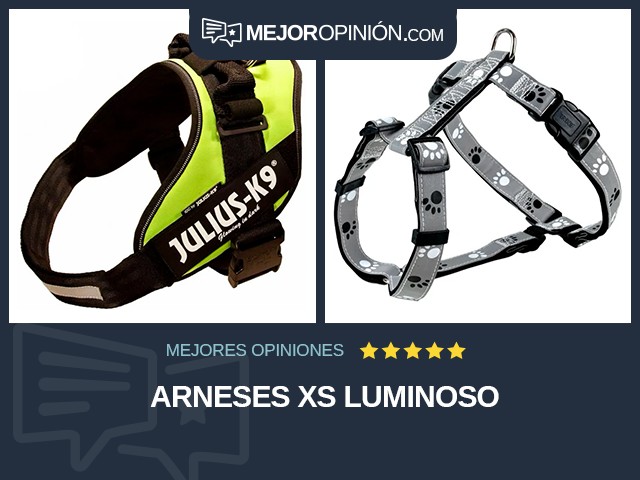 Arneses XS Luminoso