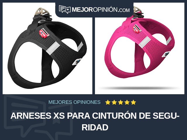 Arneses XS Para cinturón de seguridad