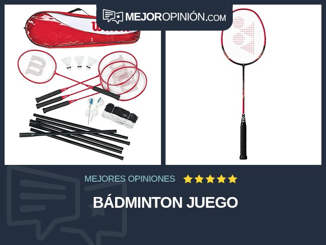 Bádminton Juego