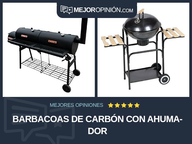 Barbacoas De carbón Con ahumador