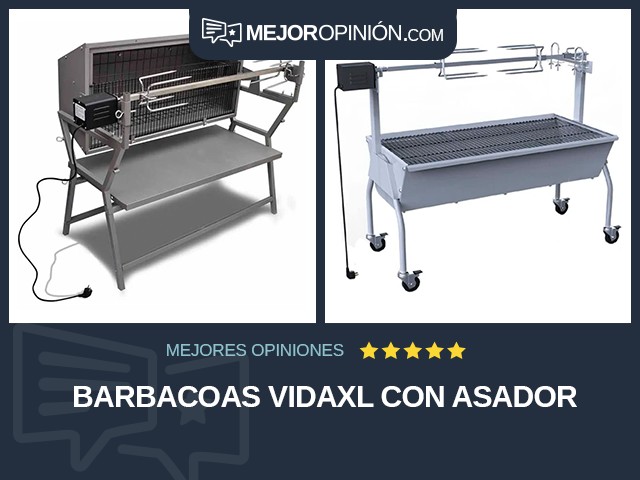 Barbacoas vidaXL Con asador