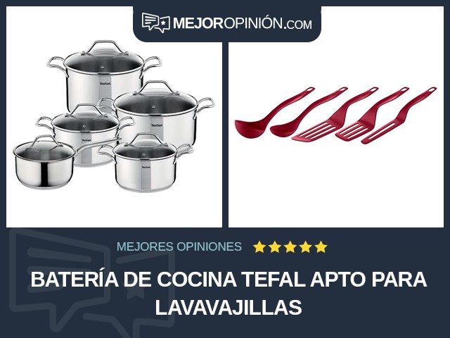 Batería de cocina Tefal Apto para lavavajillas