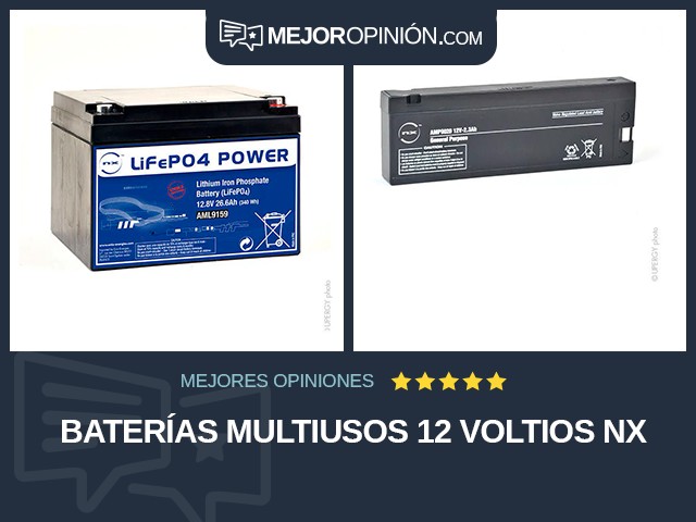 Baterías multiusos 12 voltios NX