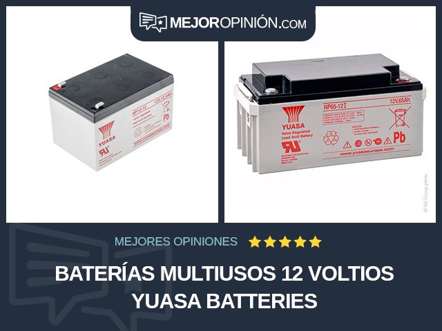 Baterías multiusos 12 voltios Yuasa Batteries