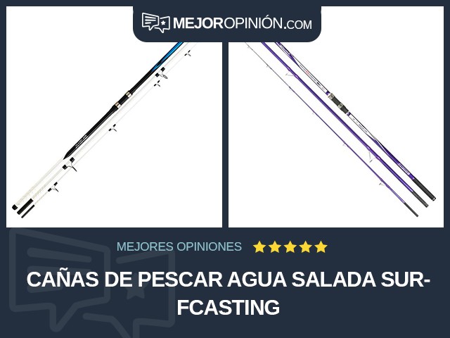 Cañas de pescar Agua salada Surfcasting