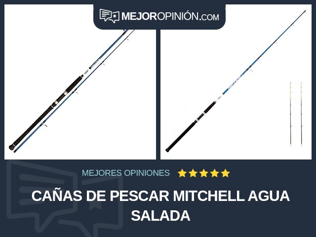 Cañas de pescar Mitchell Agua salada