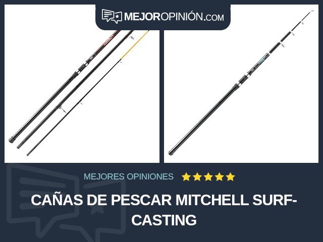 Cañas de pescar Mitchell Surfcasting