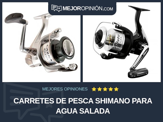 Carretes de pesca Shimano Para agua salada