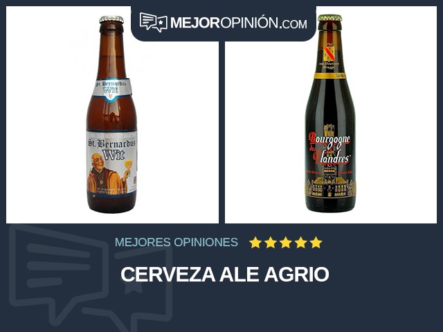 Cerveza Ale Agrio