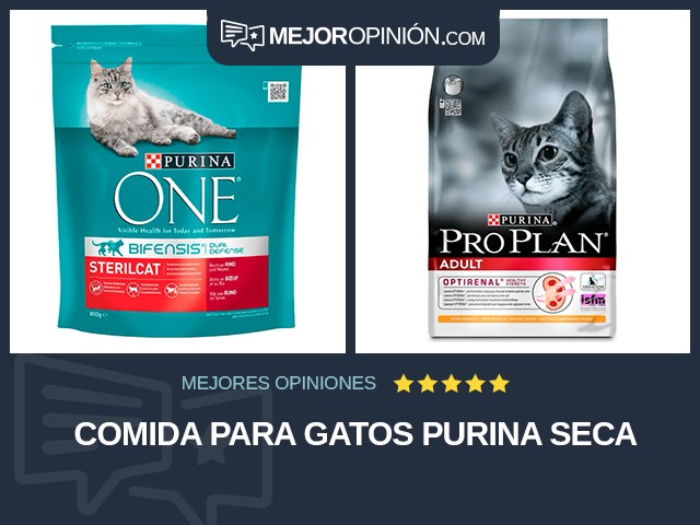 Comida para gatos Purina Seca