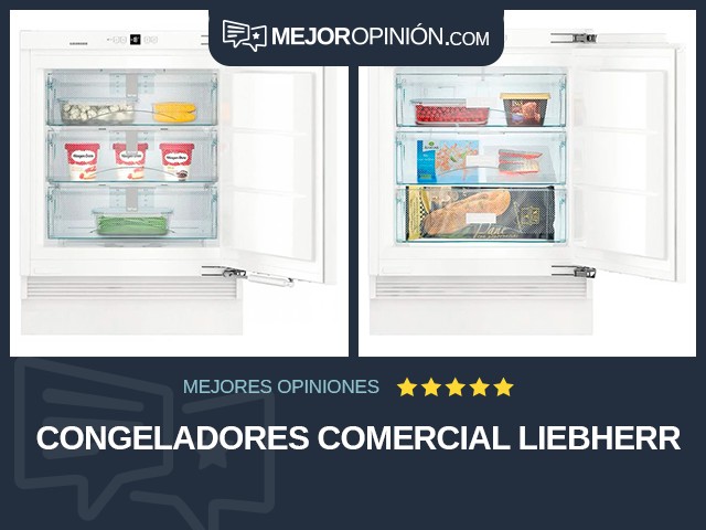 Congeladores Comercial Liebherr