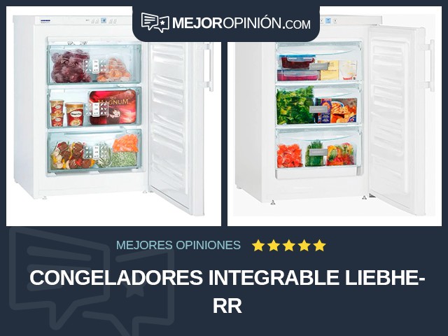 Congeladores Integrable Liebherr