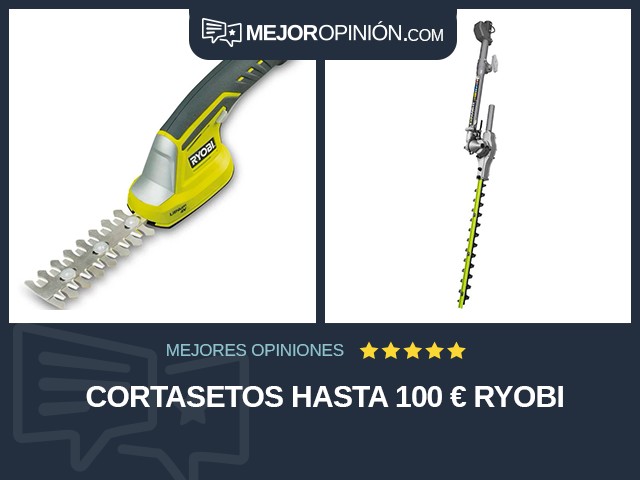 Cortasetos Hasta 100 € RYOBI