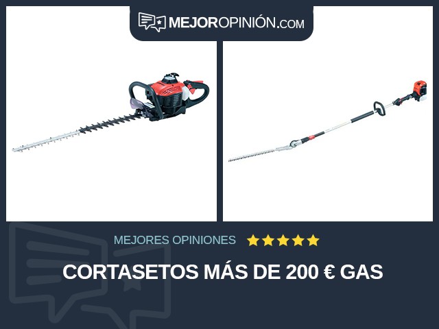 Cortasetos Más de 200 € Gas