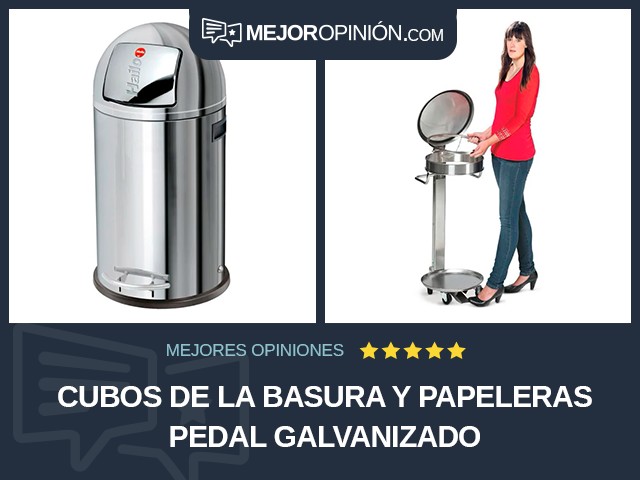 Cubos de la basura y papeleras Pedal Galvanizado