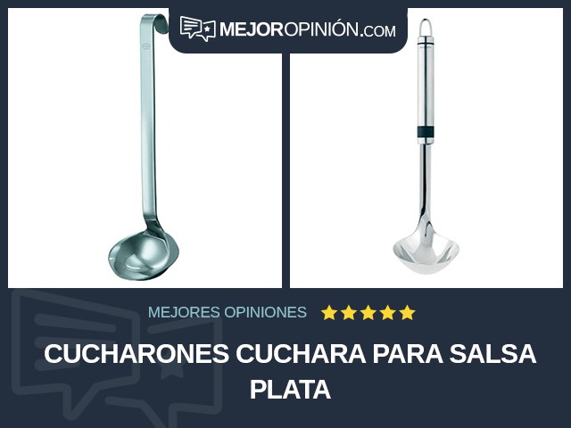 Cucharones Cuchara para salsa Plata