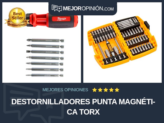 Destornilladores Punta magnética Torx