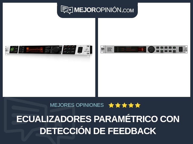 Ecualizadores Paramétrico Con detección de feedback