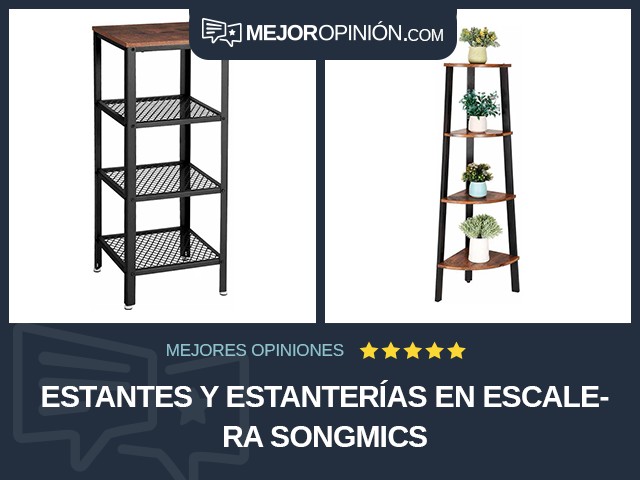 Estantes y estanterías En escalera Songmics