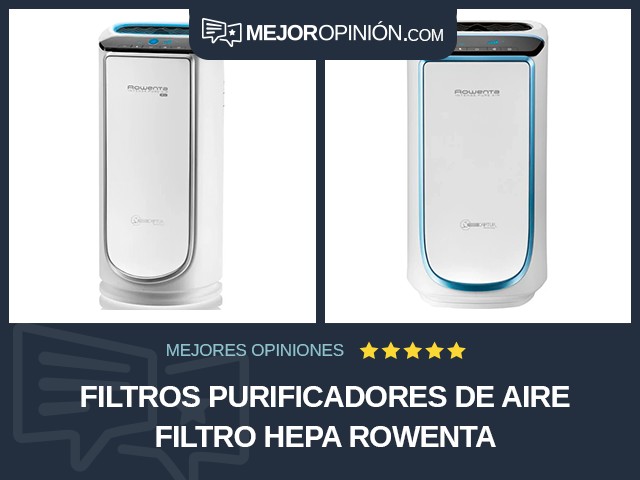 Filtros purificadores de aire Filtro HEPA Rowenta