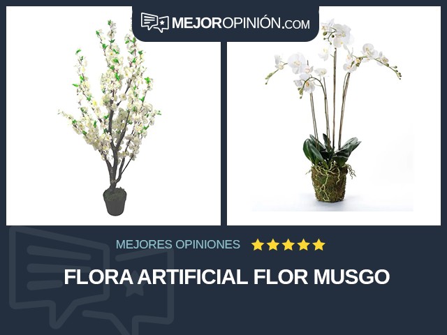 Flora artificial Flor Musgo