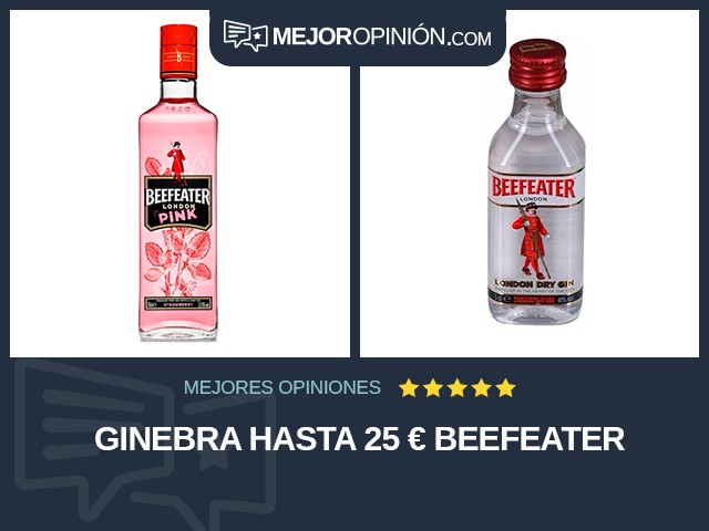 Ginebra Hasta 25 € Beefeater