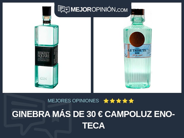 Ginebra Más de 30 € Campoluz Enoteca