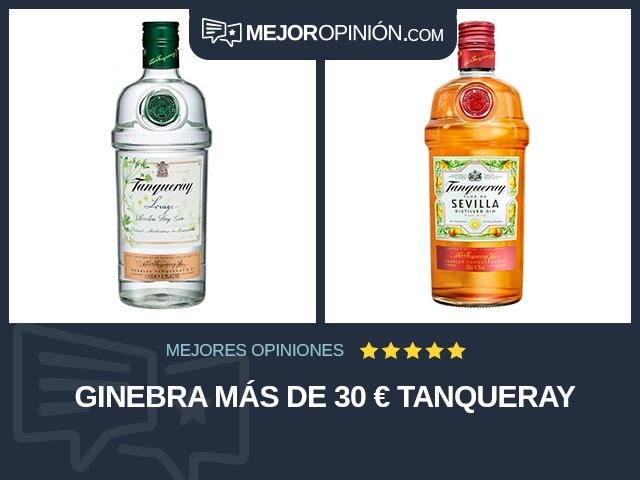 Ginebra Más de 30 € Tanqueray