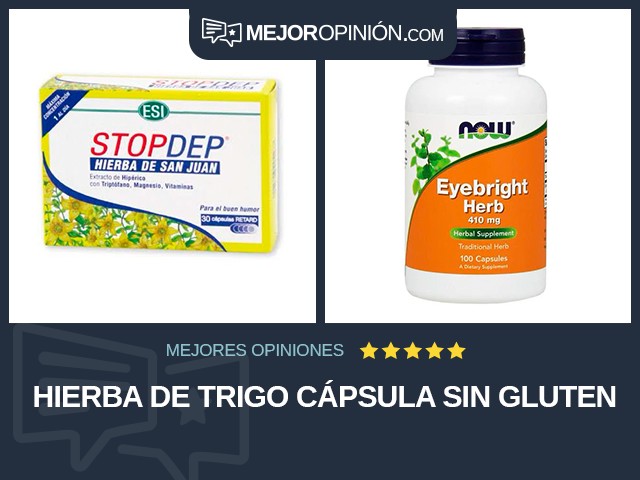 Hierba de trigo Cápsula Sin gluten