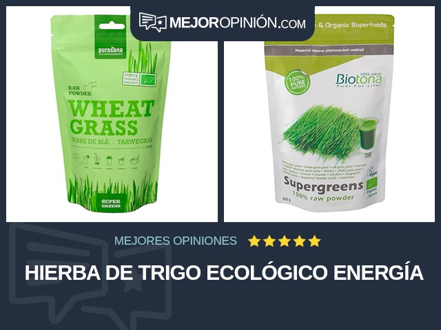 Hierba de trigo Ecológico Energía