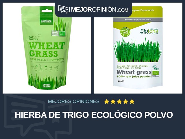 Hierba de trigo Ecológico Polvo