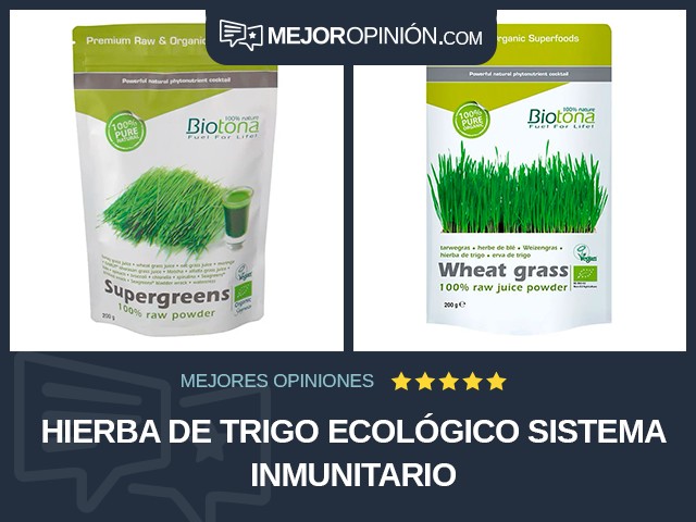 Hierba de trigo Ecológico Sistema inmunitario