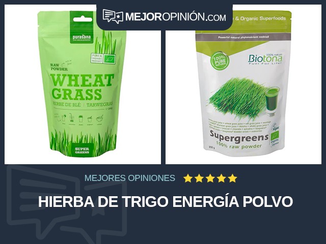 Hierba de trigo Energía Polvo